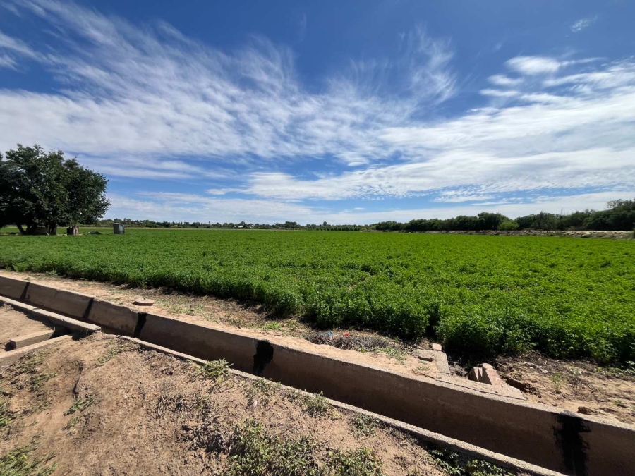 0 Bedroom Property for Sale in Middelpos Northern Cape